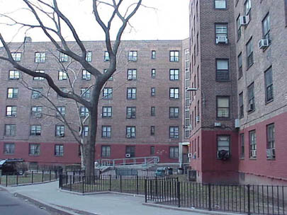 Brooklyn Housing Projects